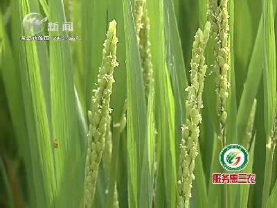 武進(jìn)新聞