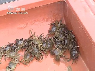 武進(jìn)新聞