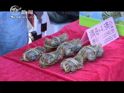 武進新聞