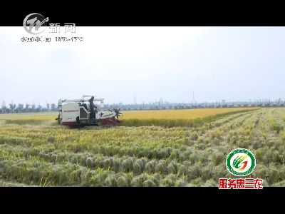 武進(jìn)新聞