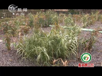 武進(jìn)新聞