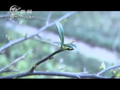 武進新聞