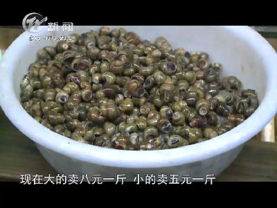 武進新聞