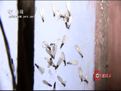 武進新聞