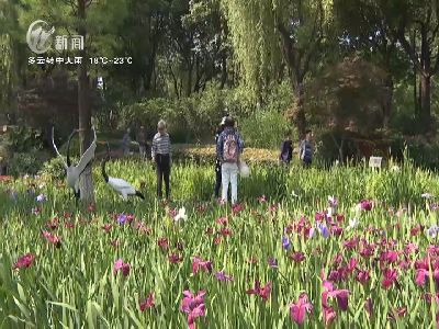 武進新聞
