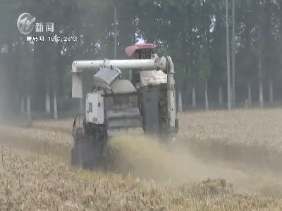 武進新聞