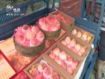 武進(jìn)新聞