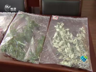 武進(jìn)新聞