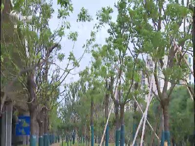 武進新聞