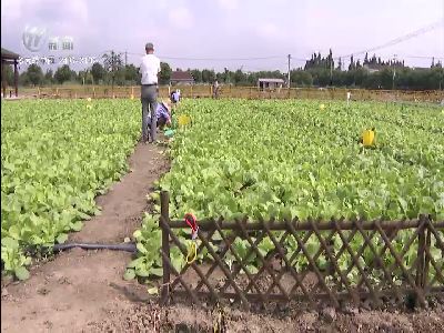 武進新聞