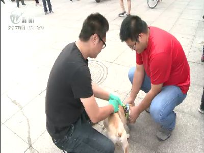 武進新聞