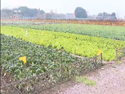 武進新聞