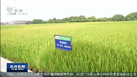 武進新聞