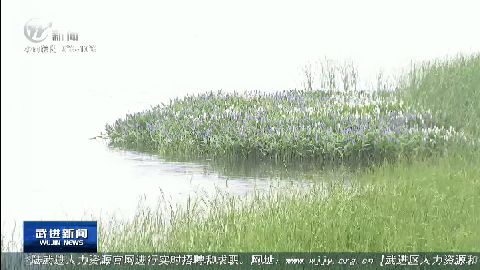 武進(jìn)新聞