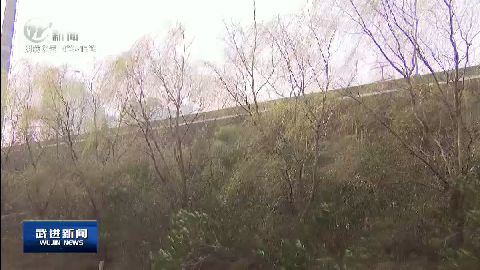 武進新聞