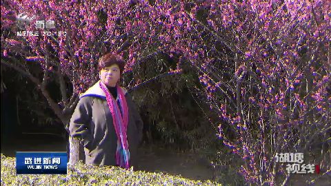 武進新聞