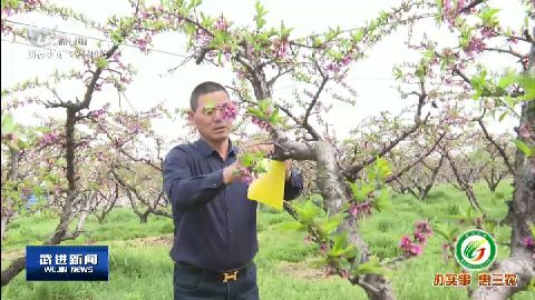 武進(jìn)新聞