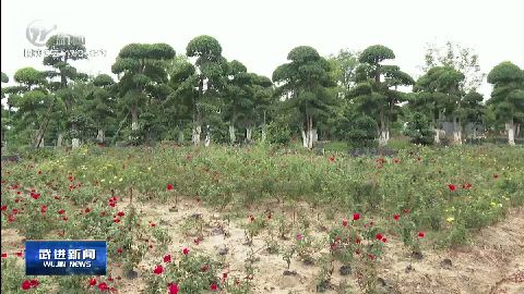武進新聞