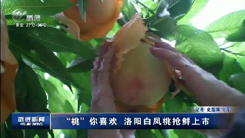 武進(jìn)新聞