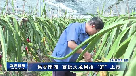武進新聞