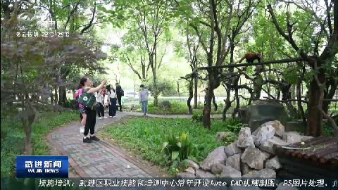 武進新聞