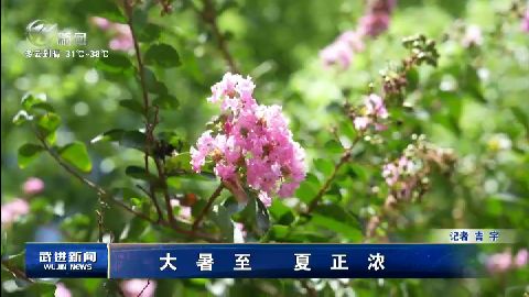 武進(jìn)新聞