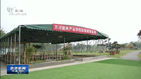 武進新聞