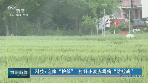 武進新聞