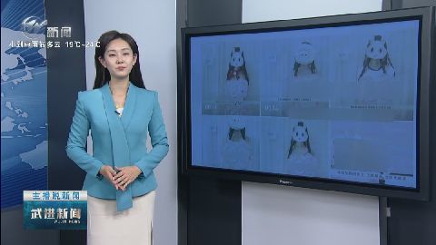 武進新聞