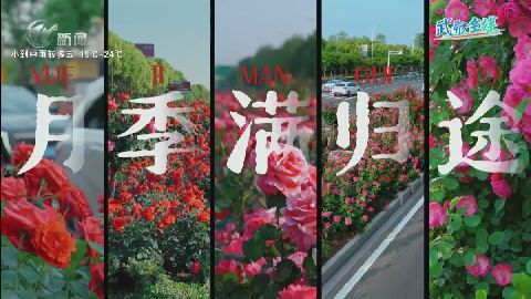 武進新聞