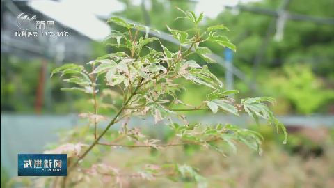 武進新聞