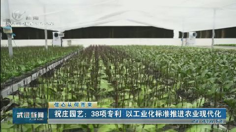 武進新聞