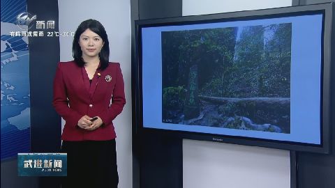 武進新聞