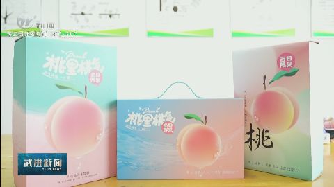 武進新聞