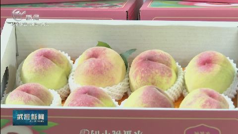 武進新聞