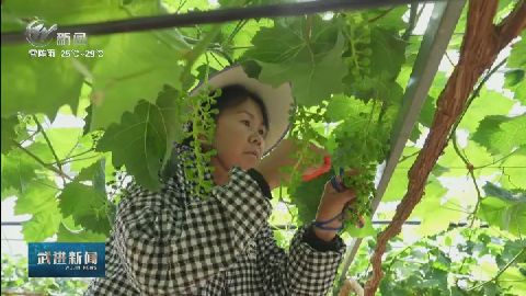 武進(jìn)新聞