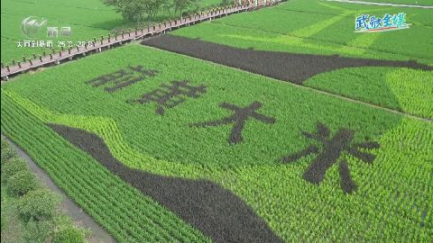 武進(jìn)新聞