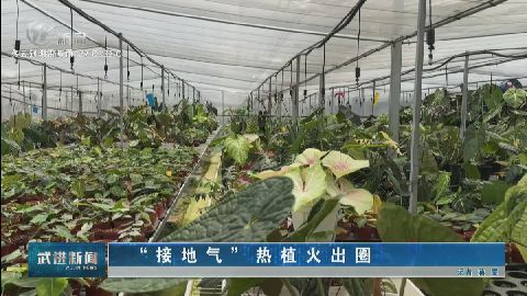 武進(jìn)新聞